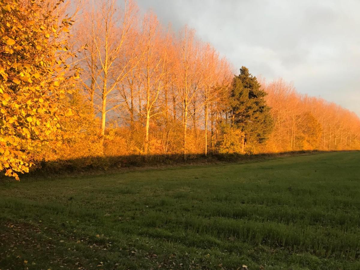 La Suite Cosy - Votre Pause Arboree La Bruyere Экстерьер фото