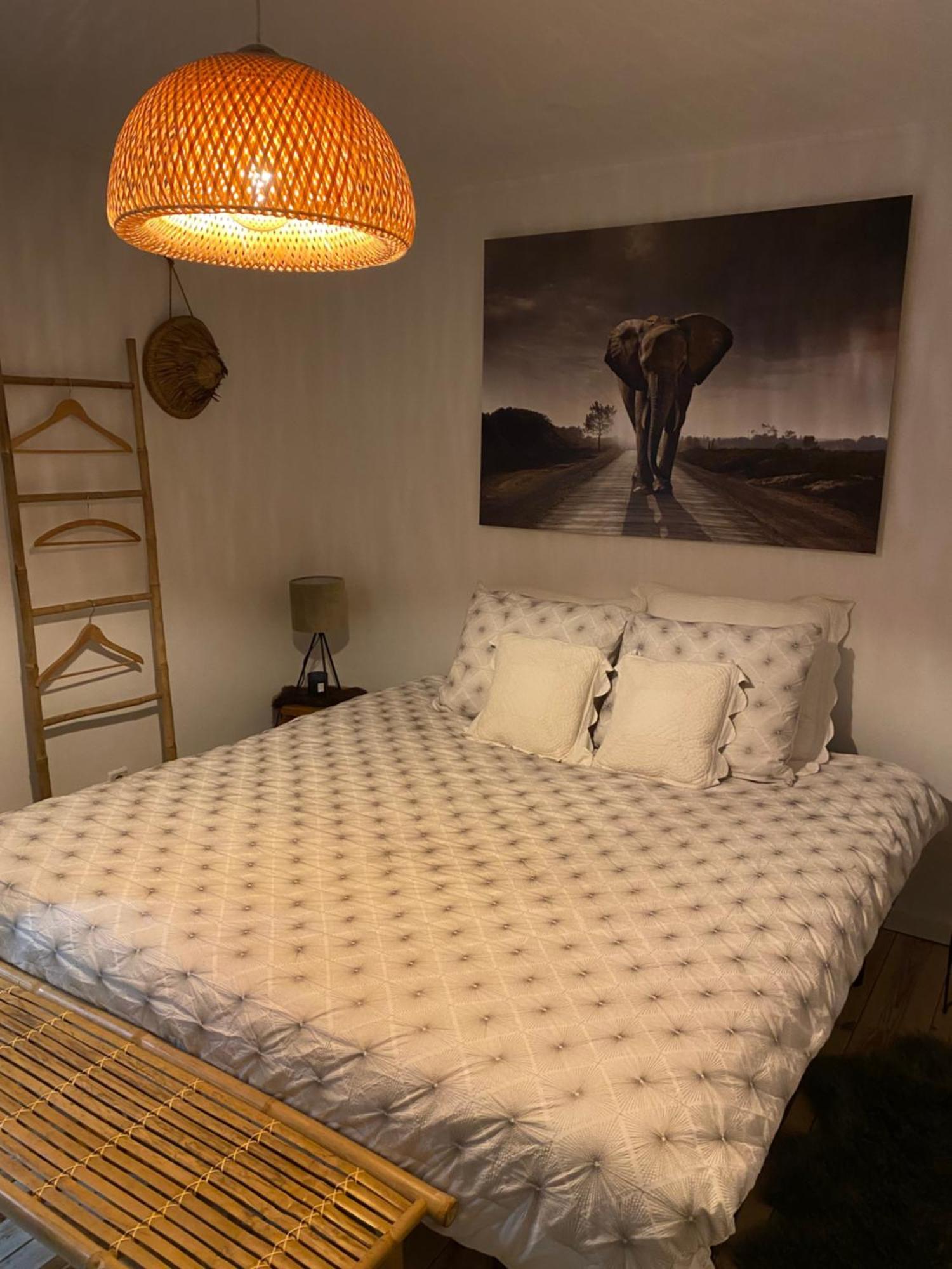 La Suite Cosy - Votre Pause Arboree La Bruyere Экстерьер фото