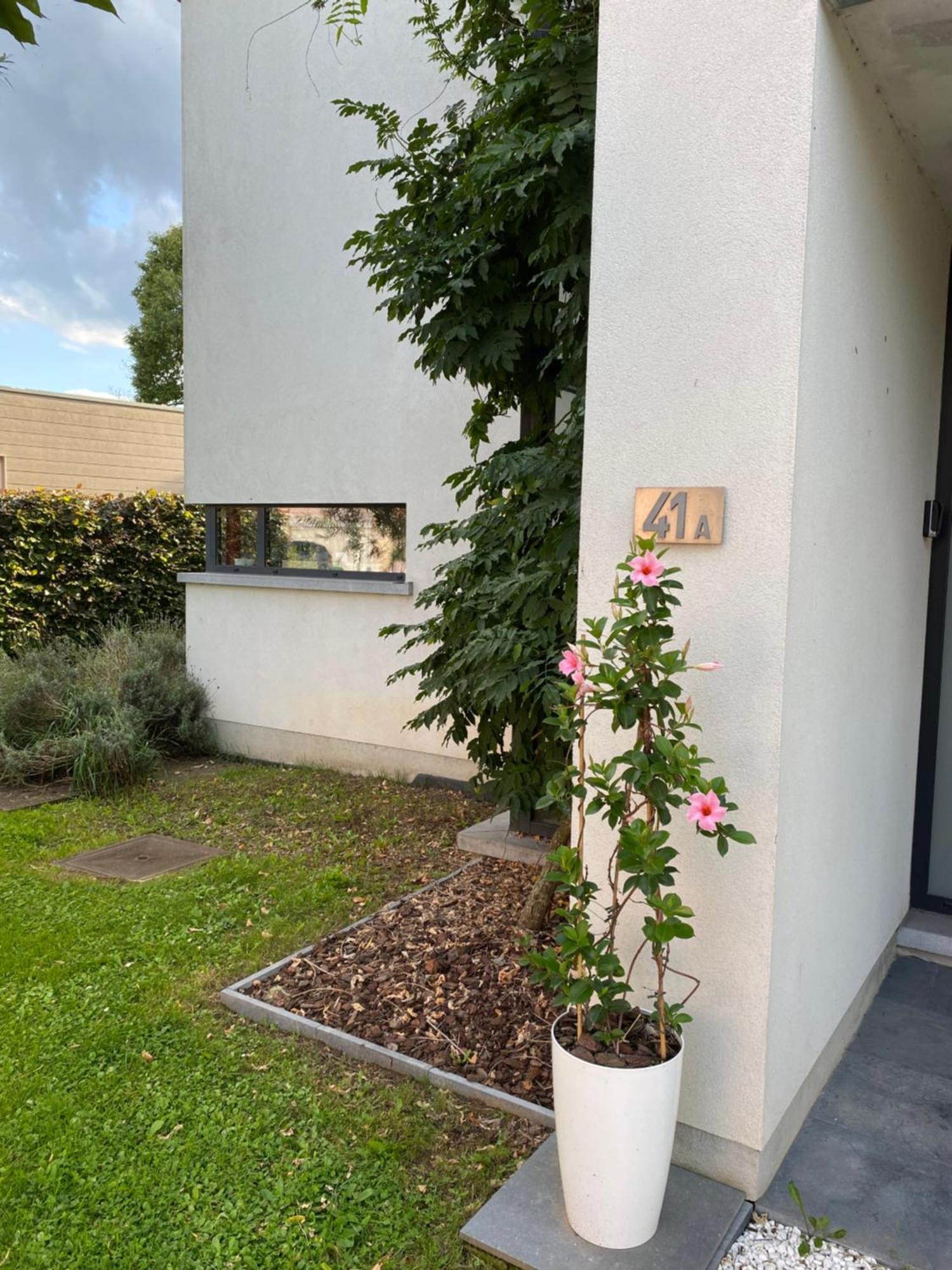 La Suite Cosy - Votre Pause Arboree La Bruyere Экстерьер фото